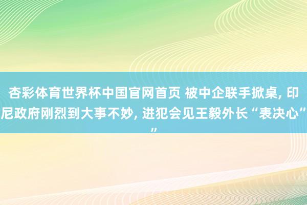 杏彩体育世界杯中国官网首页 被中企联手掀桌, 印尼政府刚烈到大事不妙, 进犯会见王毅外长“表决心”