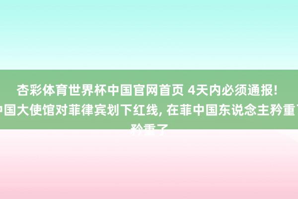 杏彩体育世界杯中国官网首页 4天内必须通报! 中国大使馆对菲律宾划下红线, 在菲中国东说念主矜重了