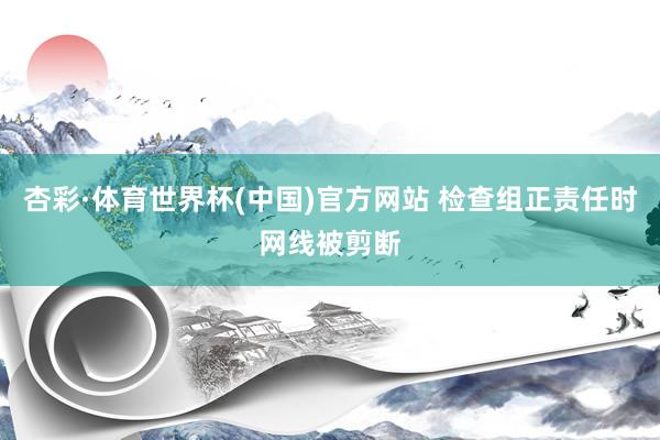 杏彩·体育世界杯(中国)官方网站 检查组正责任时网线被剪断