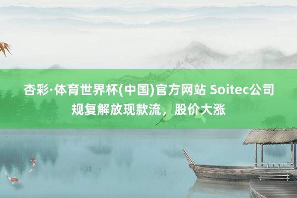 杏彩·体育世界杯(中国)官方网站 Soitec公司规复解放现款流，股价大涨