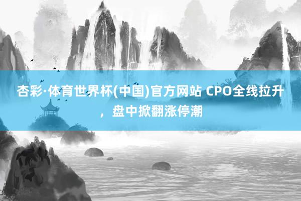 杏彩·体育世界杯(中国)官方网站 CPO全线拉升，盘中掀翻涨停潮