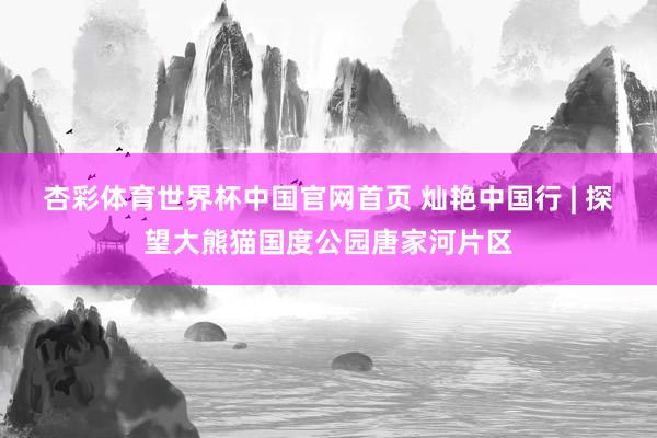 杏彩体育世界杯中国官网首页 灿艳中国行 | 探望大熊猫国度公园唐家河片区