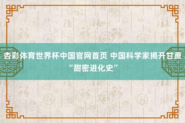杏彩体育世界杯中国官网首页 中国科学家揭开甘蔗“甜密进化史”