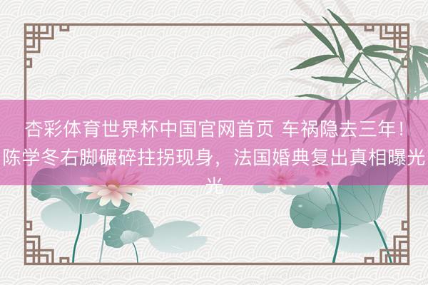 杏彩体育世界杯中国官网首页 车祸隐去三年！陈学冬右脚碾碎拄拐现身，法国婚典复出真相曝光