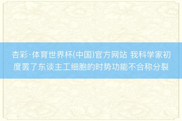 杏彩·体育世界杯(中国)官方网站 我科学家初度罢了东谈主工细胞的时势功能不合称分裂