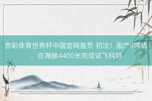 杏彩体育世界杯中国官网首页 初次!国产4吨级,在海拔4400米完成试飞科目
